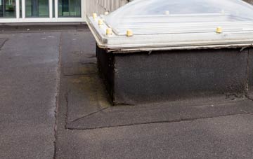 disadvantages of Toller Porcorum flat roofs