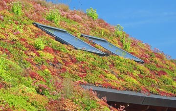 Toller Porcorum living roof systems