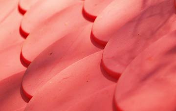 Toller Porcorum plastic roof costs