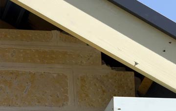 soffit repair Toller Porcorum