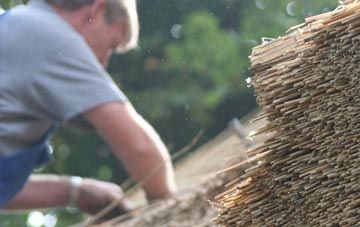 professional Toller Porcorum thatchers